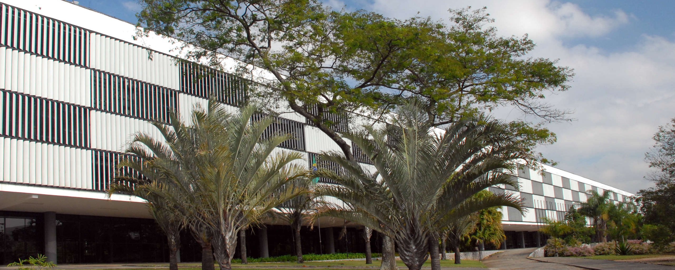 Bienal São Paulo