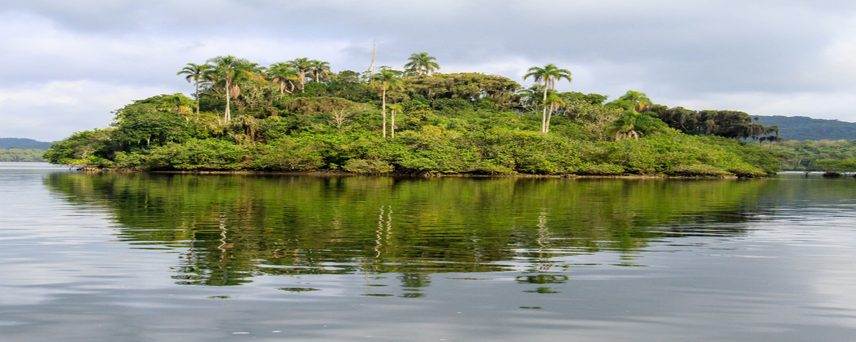 Ilha do Cardoso, no Vale do Ribeira, com todo o estuário em volta. 