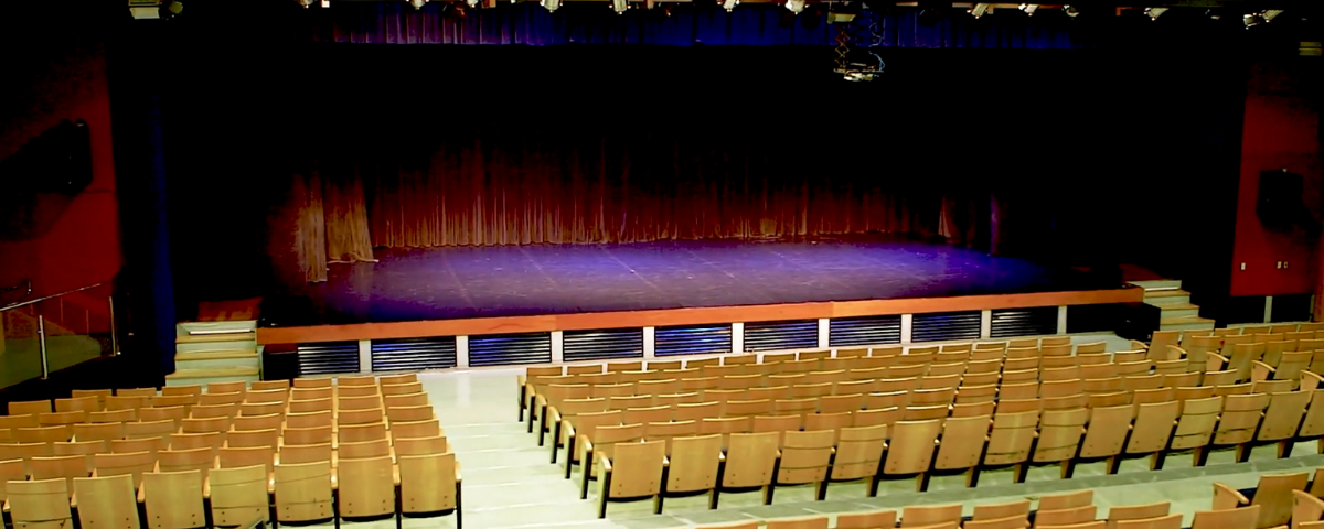 Foto de dentro do Teatro Eva Wilma, com cadeiras em tom marrom claro e o palco com uma luz azul e cortinas vermelhas ao fundo.