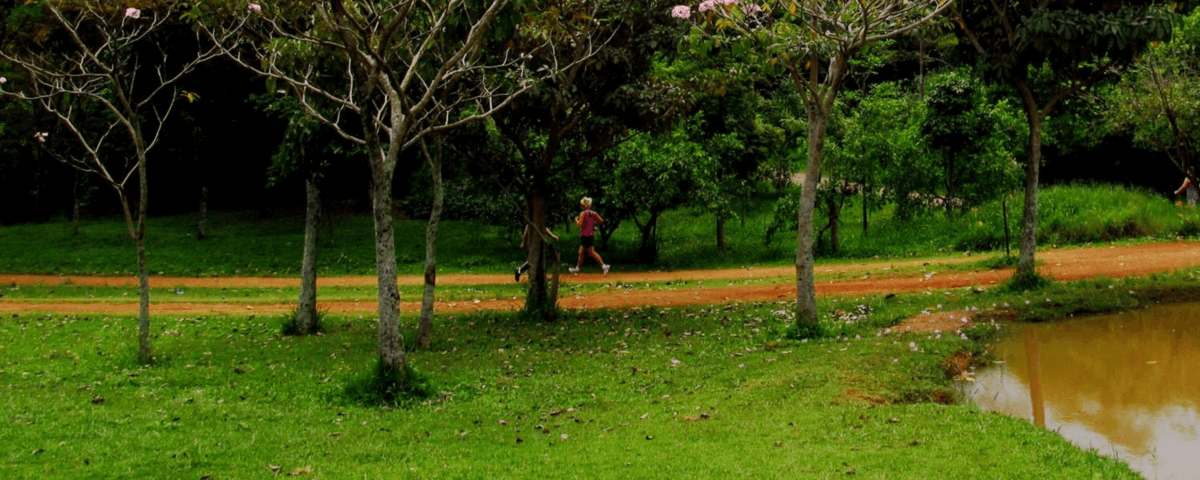 Imagem do Parque Cental do Santo André, uma ótima opção para praticar yoga. 