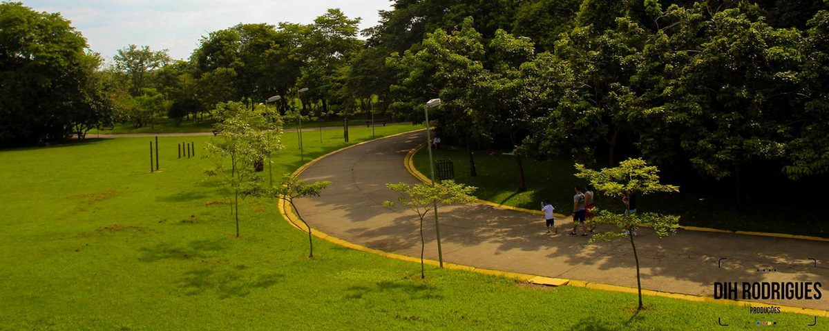 Parque Villa-Lobos, em São Paulo, com área verde e pista de pedestrianismo. O lugar é ótimo para praticar yoga.