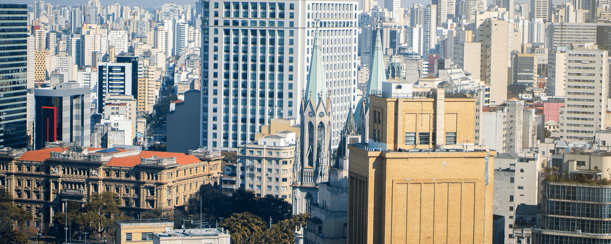 Vista de cima para o bairro da sé, com a Catedral da Sé, Theatro Municipal e outros edifícios.