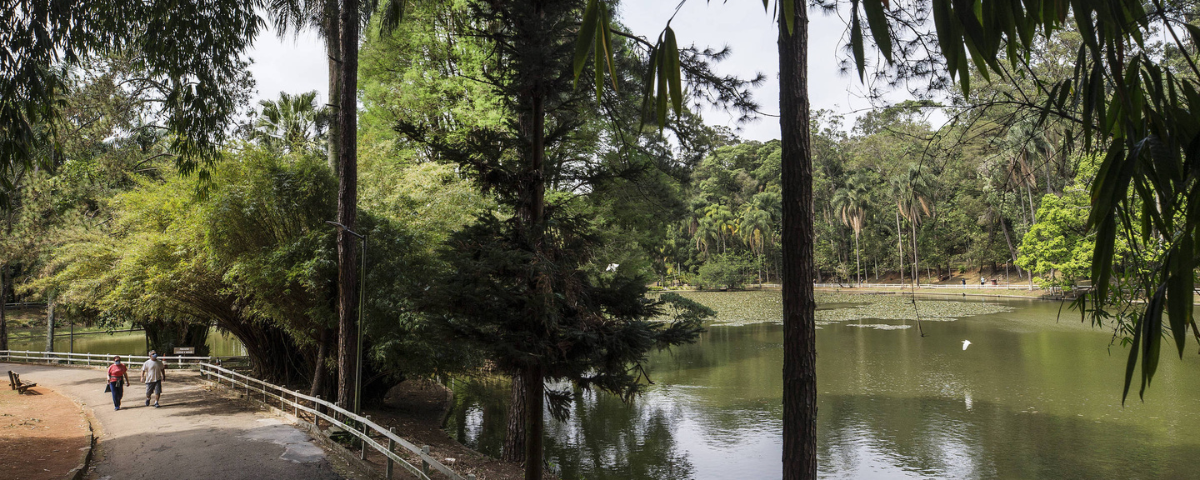 Foto do Parque Horto Florestal, com um casal de idosos caminhando, árvores e um lago.