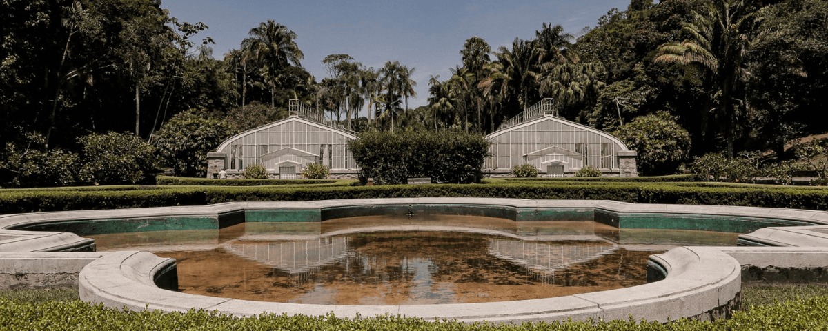 Jardim Botânico de São Paulo, um dos lugares para explorar e conhecer a biodiversidade do Estado, com uma lagoa e árvores ao fundo.