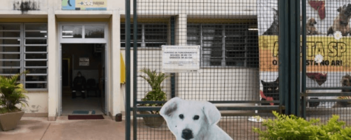 Foto da entrada do Centro Municipal de Adoção de Cães e Gatos, uma das feiras de adoção de animais em São Paulo. 