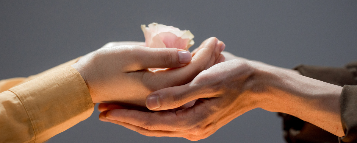 Duas mãos segurando uma flor rosa.