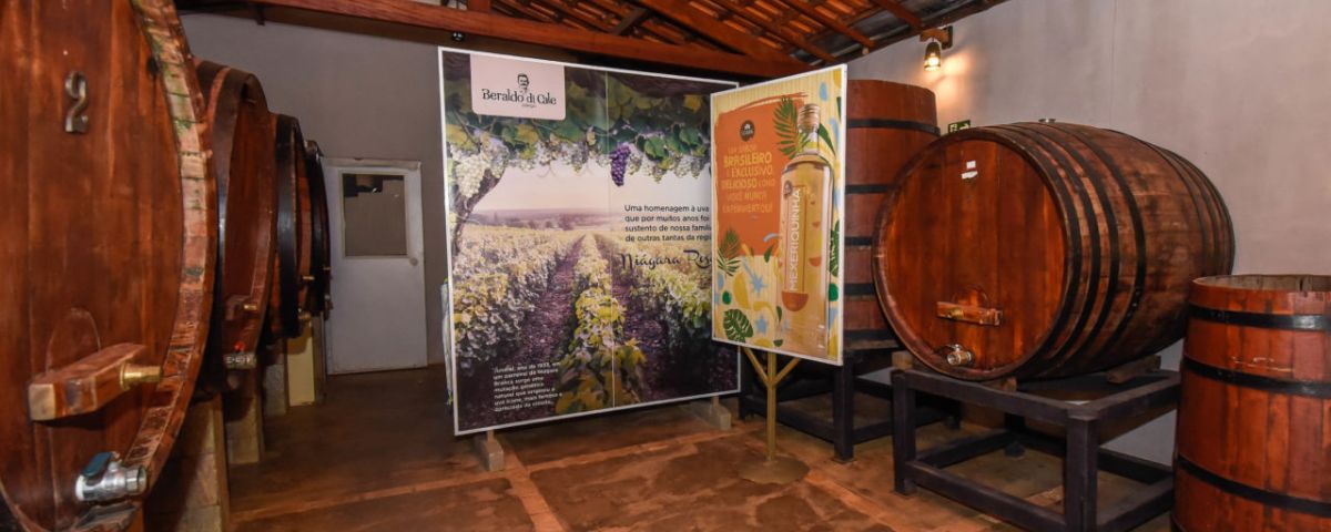 Uma das opções de vinícolas em SP fica em Jundiaí, que é conhecida como a terra da uva. 