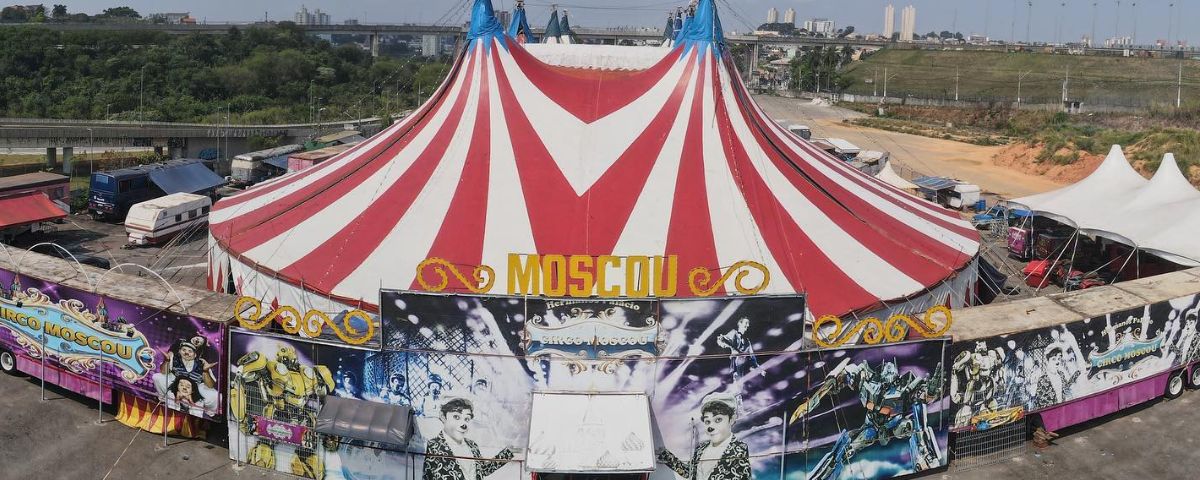 O Circo Moscou tem uma seleção de artistas nacionais e internacionais. Outra opção muito divertida para comemorar o Dia do Circo! 