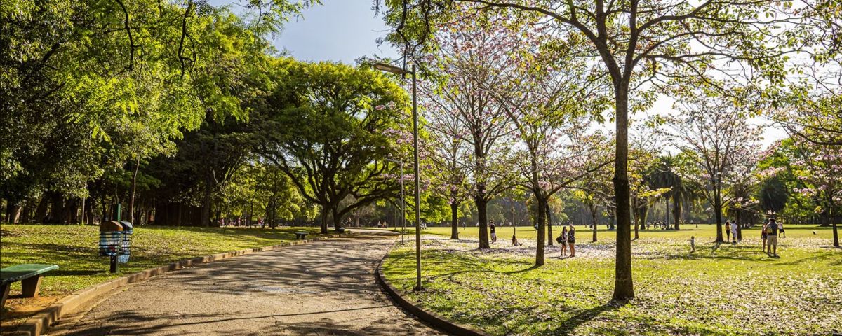 Se você frequenta o Parque do Ibirapuera, com certeza já notou que existem muitos corredores por lá, né? Não é à toa que o parque é considerado um dos melhores lugares para quem busca onde correr em SP.