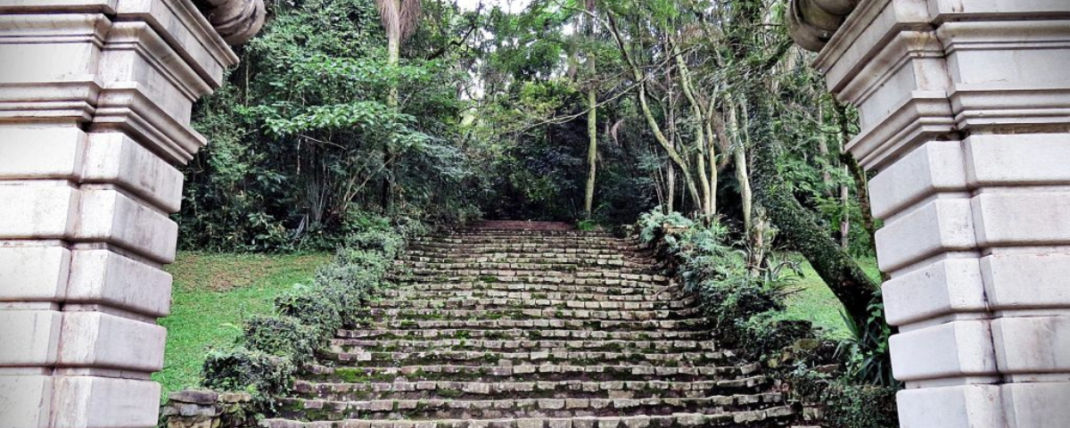 Outra opção de escadaria em SP, a Escadaria do Jardim de Lineu fica no Jardim Botânico. A escada tem dois pilares no início e muitas árvores e plantas ao redor. 