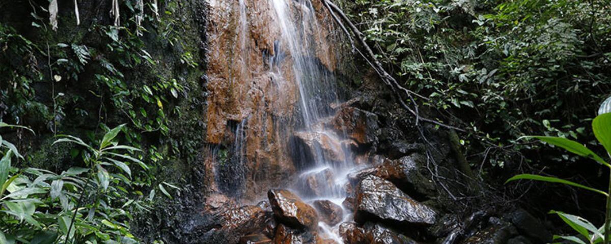 Neste Dia Mundial do Meio Ambiente, o Parque Estadual Itaberaba é uma ótima opção de passeio. Uma queda d'água em meio as rochas e plantas proporcionam uma experiência renovadora. 