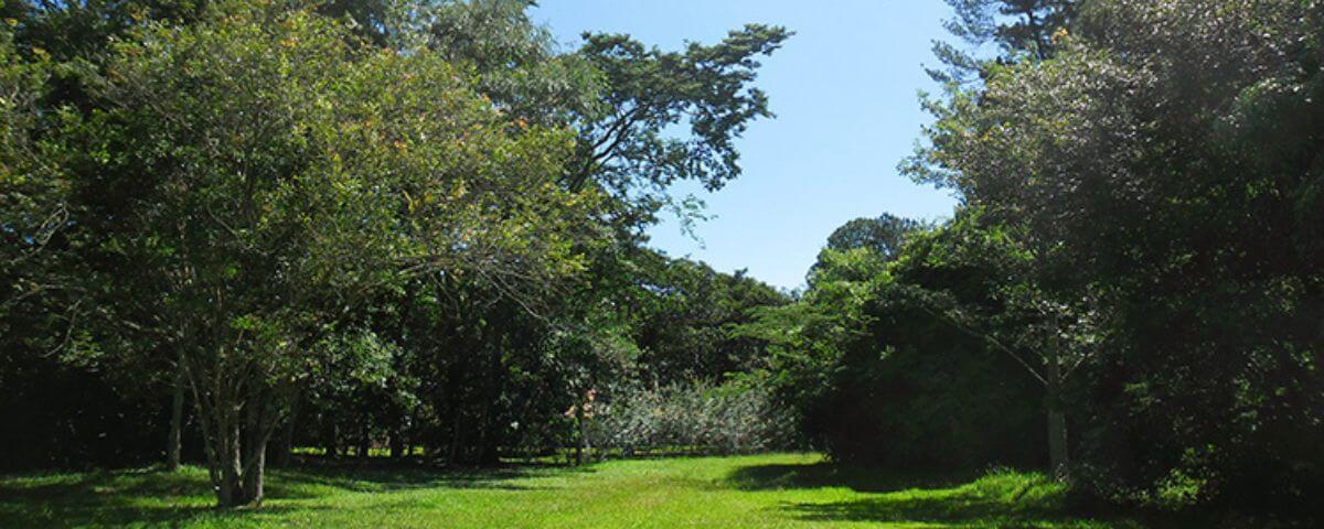 Outra opção neste Dia Mundial do Meio Ambiente é o Parque Estadual de Porto Ferreira. Um lindo gramado bem verde com árvores em volta vão fazer o seu passeio ser inesquecível. 