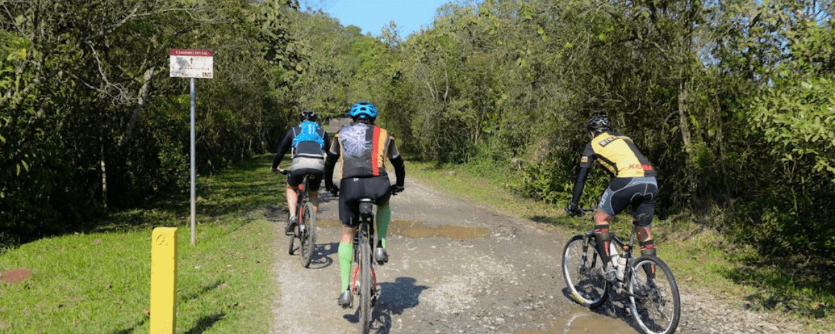 A Caminho de Sal é uma rota ideal para quem curte montain bike e querem celebrar este Dia Mundial da Bicicleta. Três ciclistas pedalam na trilha com mata ao redor. 