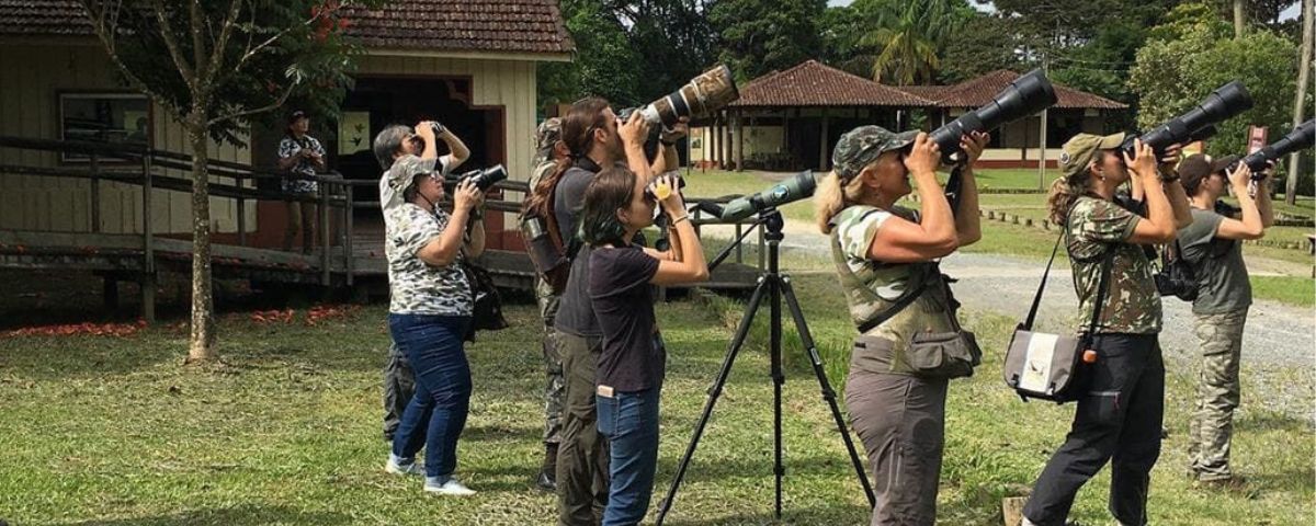 Diversos fotógrafos usam lentes profissionais para praticar birdwatching em um parque de São Paulo. 