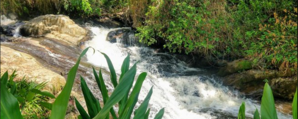 A cachoeira dos amores é um dos destinos naturais de São Bento do Sapucaí. A cachoeira tem uma linda queda a'água e é um lugar perfeito para relaxar e se conectar com a natureza. 