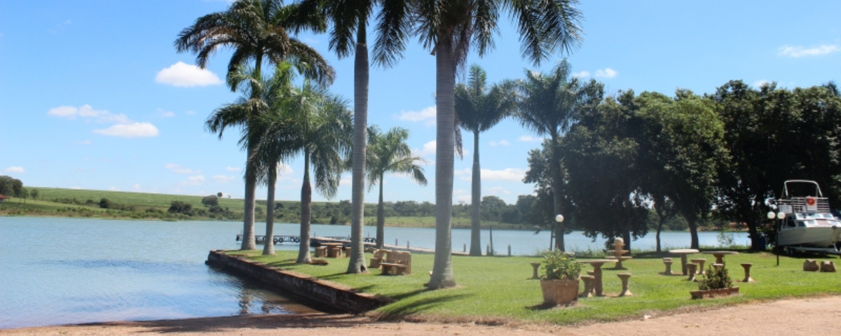 Espaço com gramado, coqueiros, algumas mesas com bancos, na beira de um lago, onde é possível praticar a pesca em SP. 