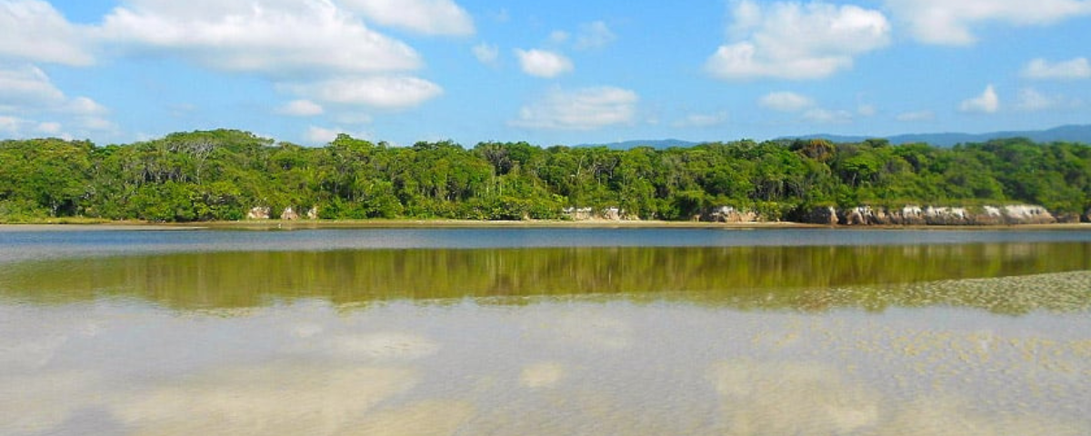 A piscina natural de Itaguaré se forma no encontro do rio com o mar. Ela é perfeita para relaxar no meio das águas calmas e cristalinas. 