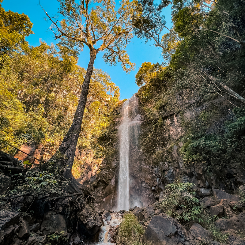 A Cachoeira da Marta tem uma linda que d'água com vegetação e rochas ao seu redor. 