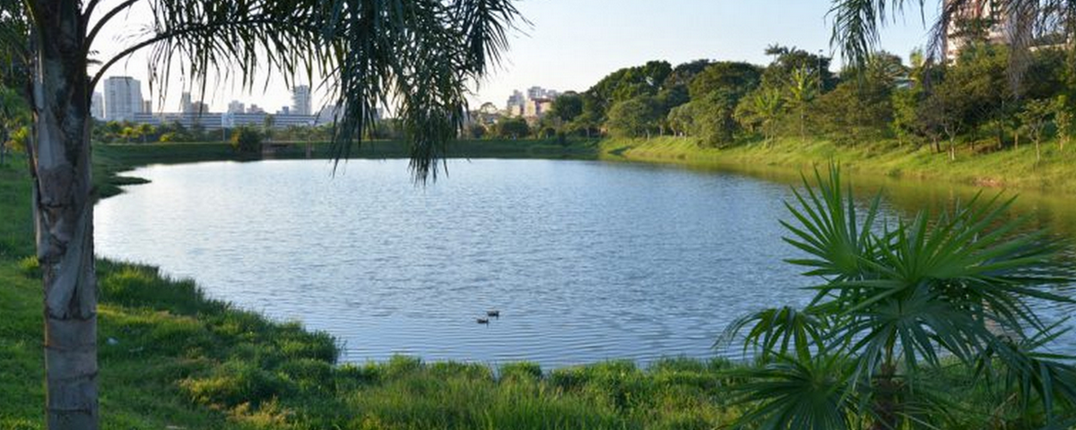 Ir ao Parque Central Deputado José Cicote é uma das opções de passeios no ABC. O parque tem uma extensa área verde e um lago. 
