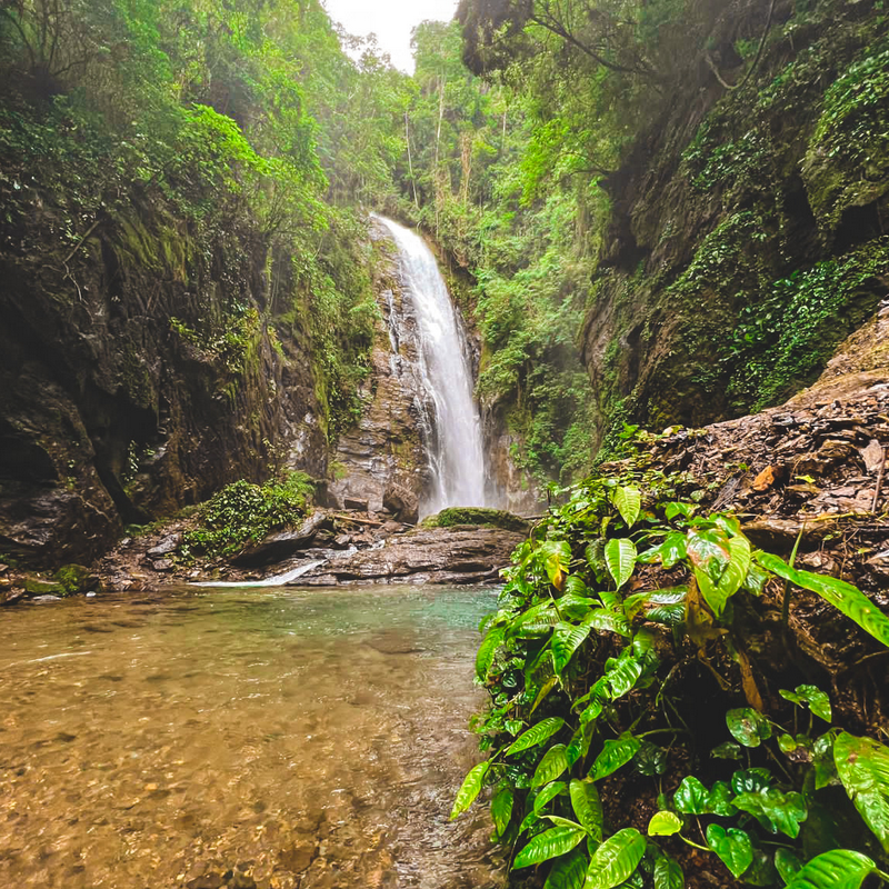 A Cachoeira do Meu Deus fica na cidade de Eldorado. Ela tem uma queda d'água com árvores e vegetação ao redor. 