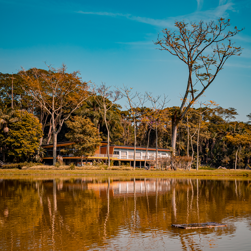 O Parque Municipal Roberto Burle Marx, mais conhecido como "Parque da Cidade", em São José dos Campos, possui um lago e diversas árvores na paisagem. 