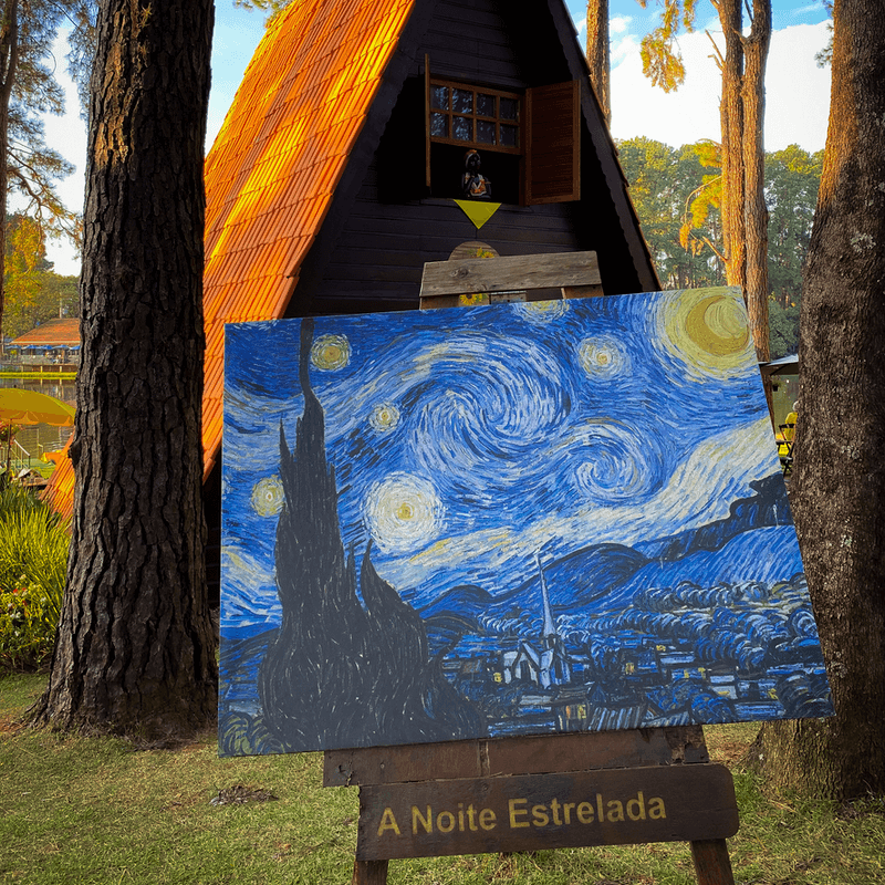 Quadro inspirado na obra "A Noite Estrelada" de Van Gogh é exposto no parque que também possui o nome do artista. 