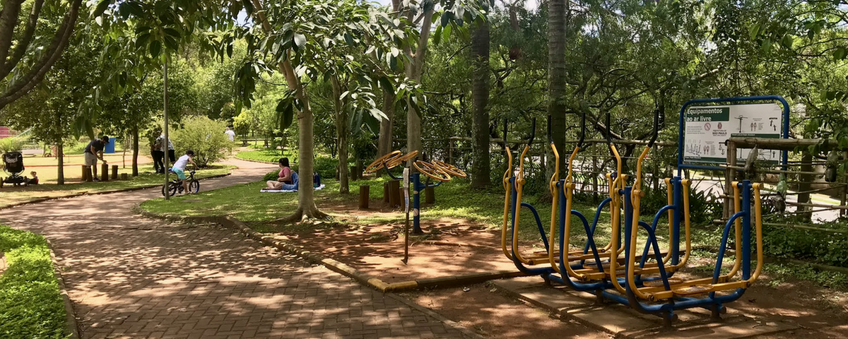 Parque de SP com aparelhos para se exercitar e diversas árvores. 