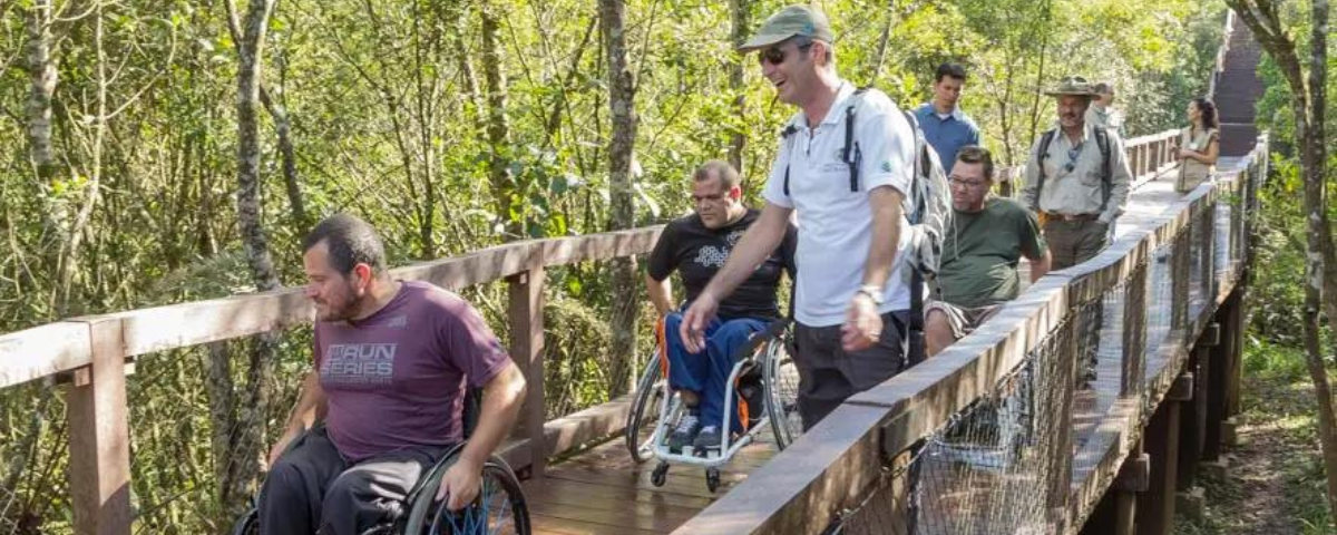 Cadeirantes fazem trilha no Parque Ecológico Imigrantes. O parque possui uma iniciativa inclusiva muito bacana. Que tal colocar uma visita nele na lista dos passeios de domingo? 