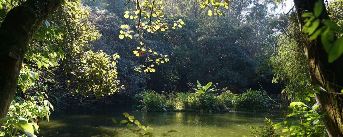 O Parque Burle Marx possui um lago e diversas árvores, e é um ótimo local para fazer um piquenique no feriado finados 2023. 