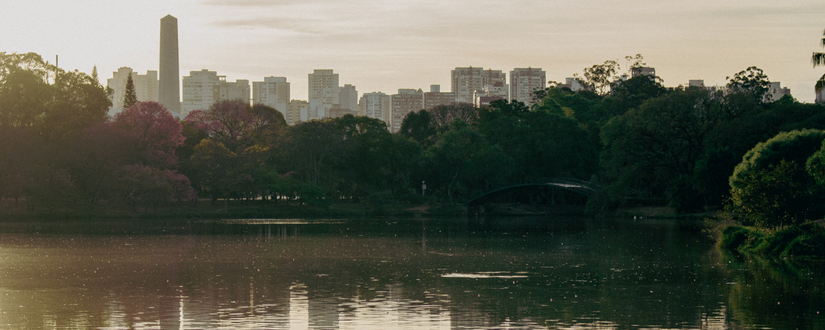 O Parque do Ibirapuera, localizado na Vila Mariana, possui diversas árvores e um lago. 