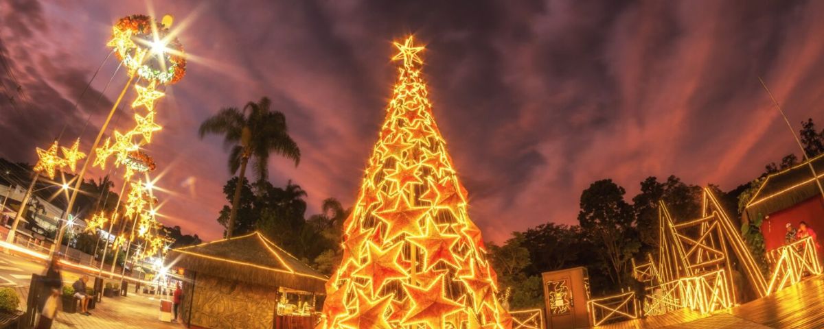 A Árvore Encantada de Guararema fica toda iluminada a noite durante o Natal 2023. 