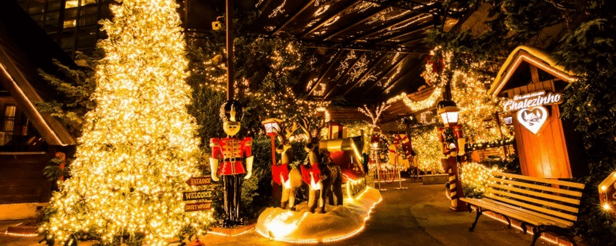 Uma das opções de passeios para as férias de dezembro é ir visitar o Chalezinho, que está todo iluminado com luzes de Natal e decorado com itens temáticos. 