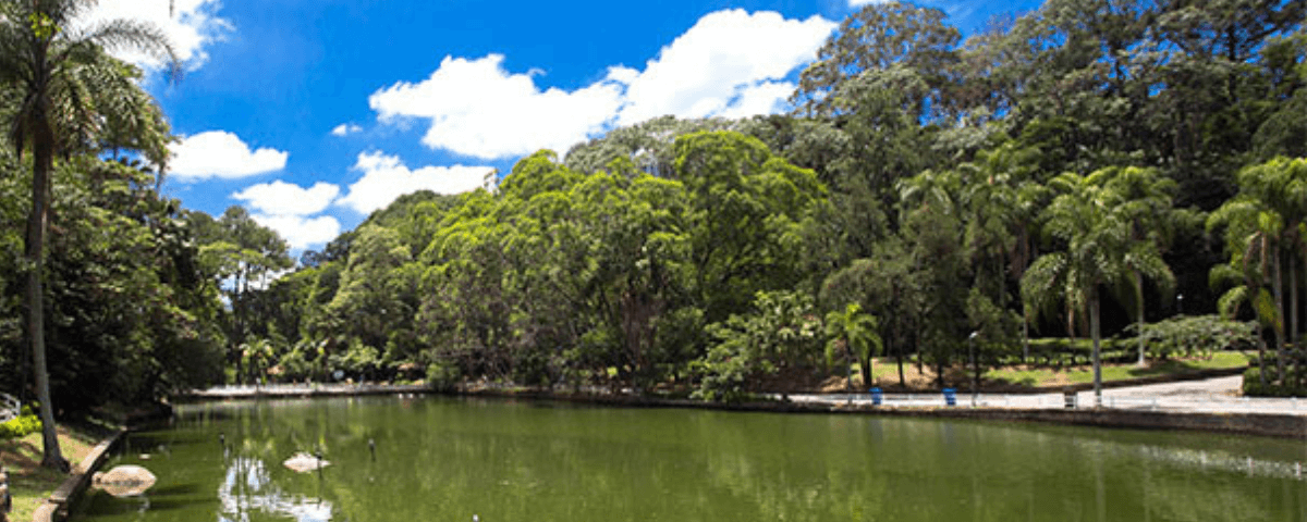 O Horto Florestal é cercado de natureza e possui um lago. 