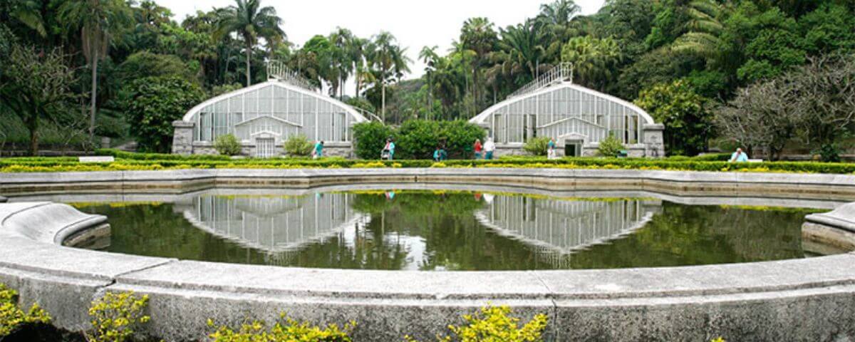 Vista do Jardim Botânico, que possui duas estufas, um lago e uma área repleta de vegetação. 