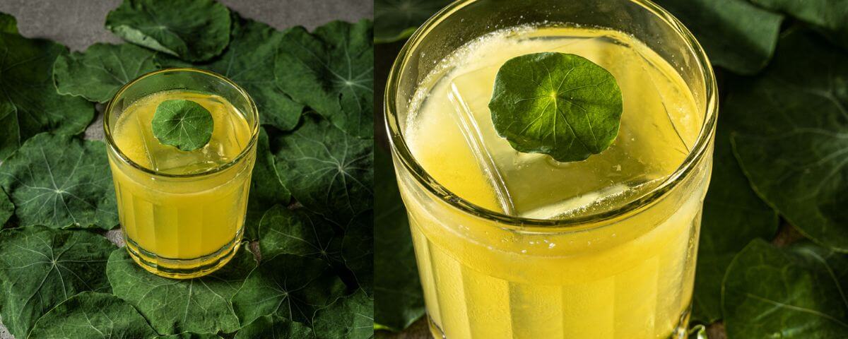 Drink com a cor amarelo claro e uma folha verde em cima decorando. 
