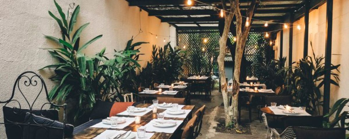 O Chou restaurante possui mesas de madeira, plantas espalhadas e pequenas lâmpadas iluminando a área, deixando o ambiente charmoso e aconchegante. 