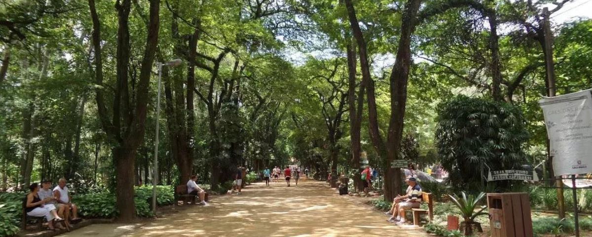 Parque com diversas árvores e uma calçada para pedestres caminharem. 
