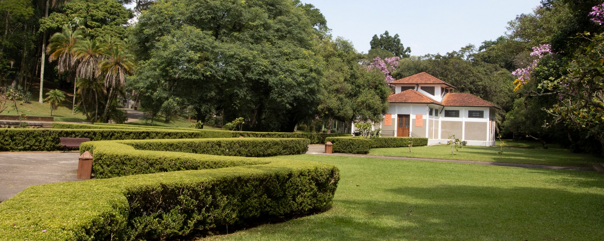 Área ampla e verde do Jardim Botânico de São Paulo. 