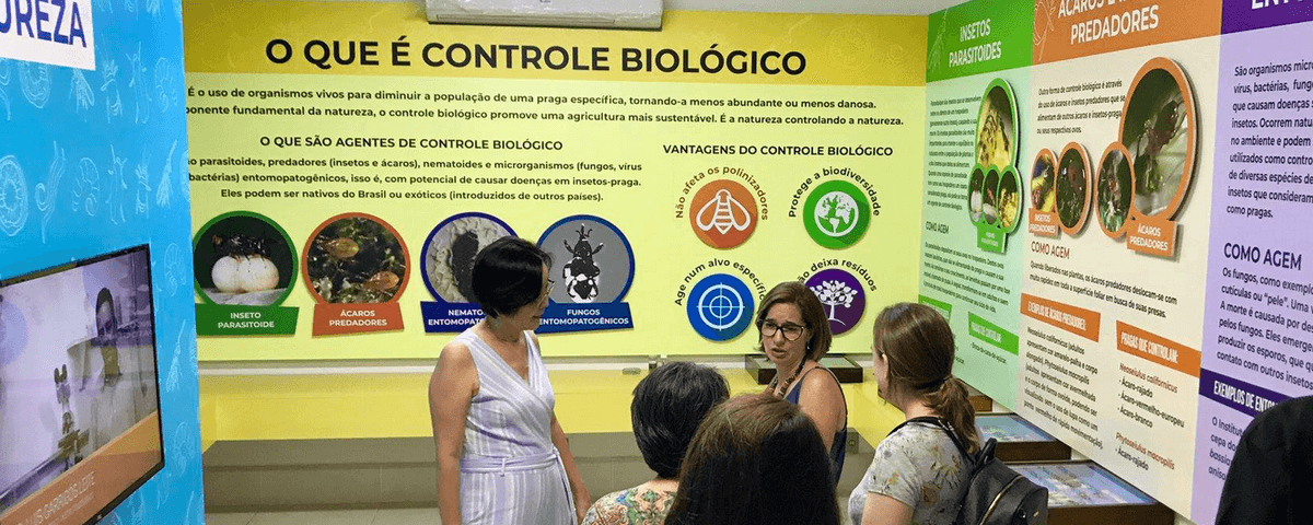 Diversas pessoas em uma das salas do Planeta Inseto, que possui paredes com informações sobre os insetos. 