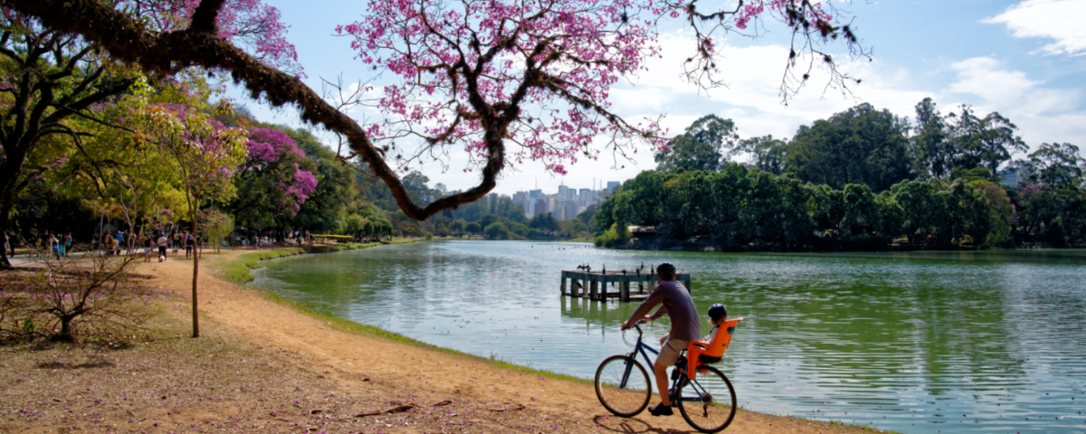 Homem andando de bicicleta com uma criança em frente a um lago e uma árvore com flores cor de rosa. 