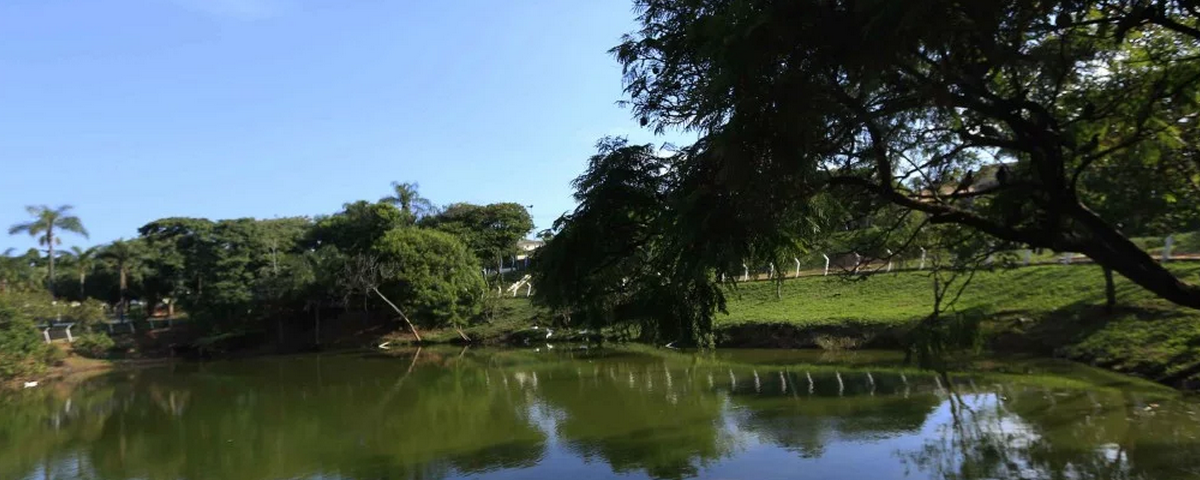 Lago no meio de um parque com extensa área verde. 