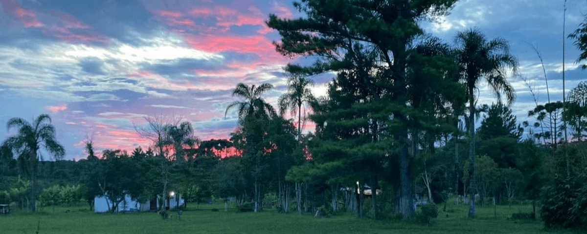 Diversas árvores e gramado no Parque Augusta, onde vai acontecer a mostra 3M, um dos eventos de maio. 