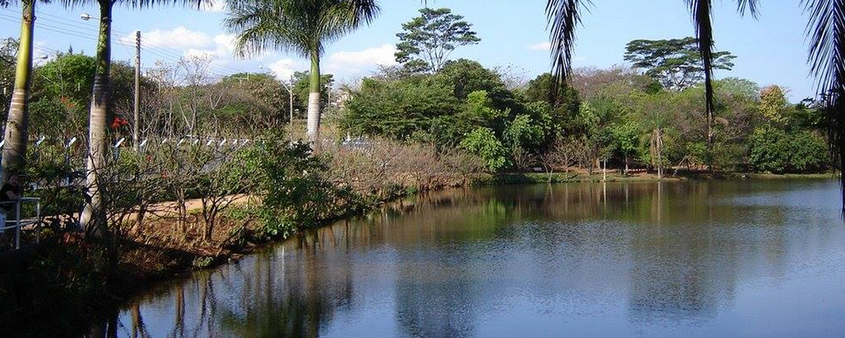 Lago no Parque Ecológico Prof. Hermógenes de Freitas, um dos passeios ao ar livre em Campinas. 