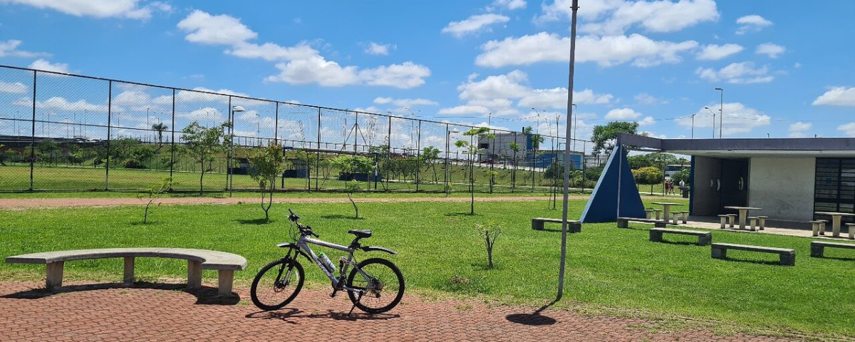 Bicicleta em SP parada em frente ao gramado de um parque. 