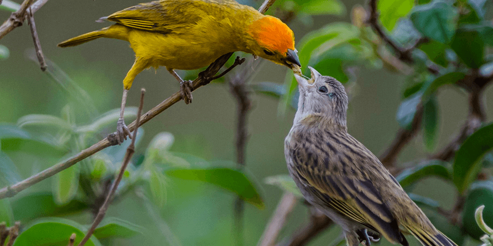 Parque Estadual Águas da Prata