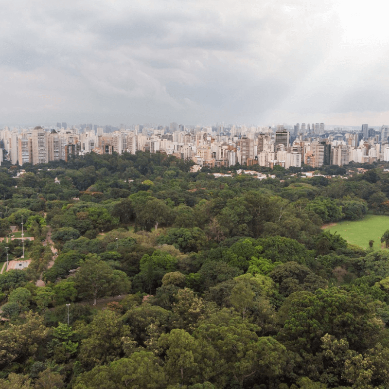 Comemore o aniversário de São Paulo em grande estilo!