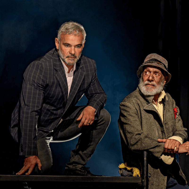 Peças de teatro em SP: descubra o que está em cartaz