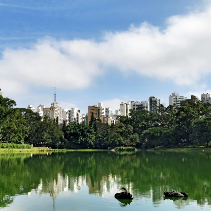Parques em SP para contemplar a natureza