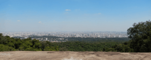 Dia da Árvore: trilhas para se conectar com a natureza perto de São Paulo
