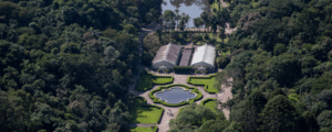 A primavera chegou: descubra os destinos mais floridos de São Paulo